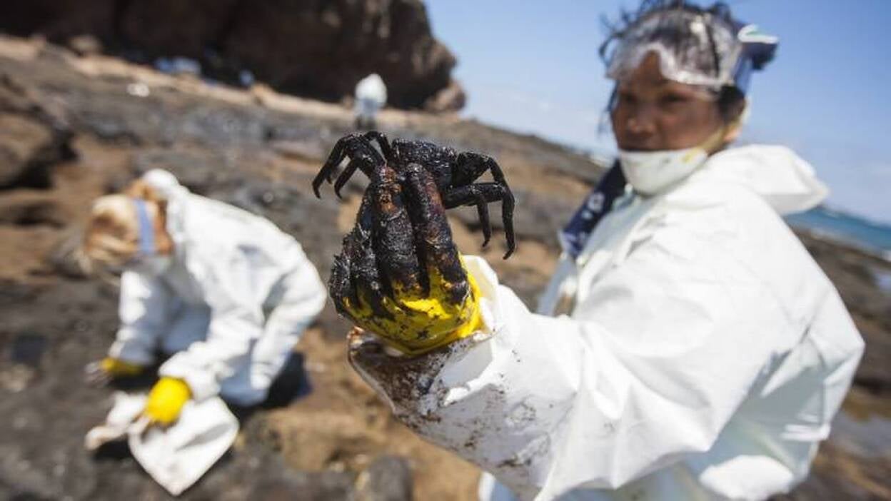 Nuevas manchas de piche en Arinaga