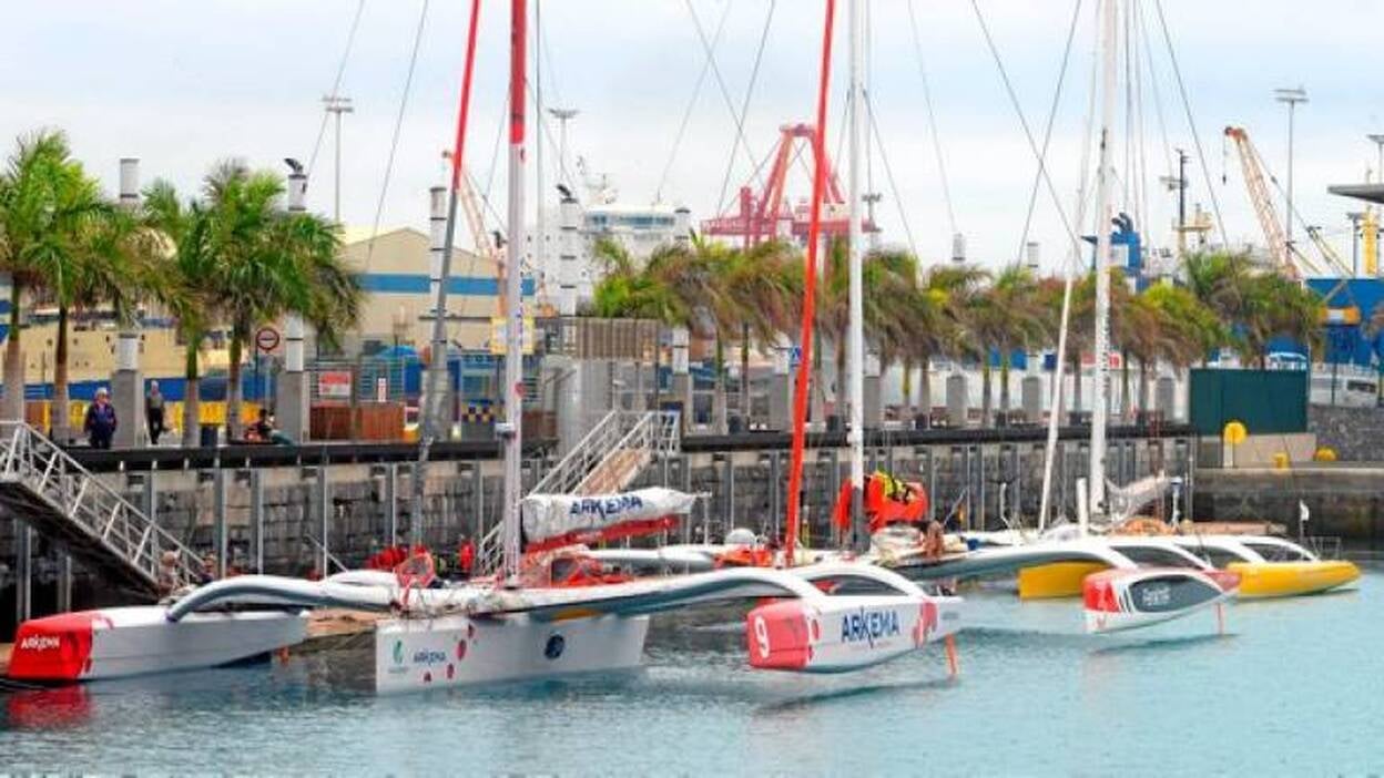 Trimaranes de élite competirán este fin de semana en la bahía