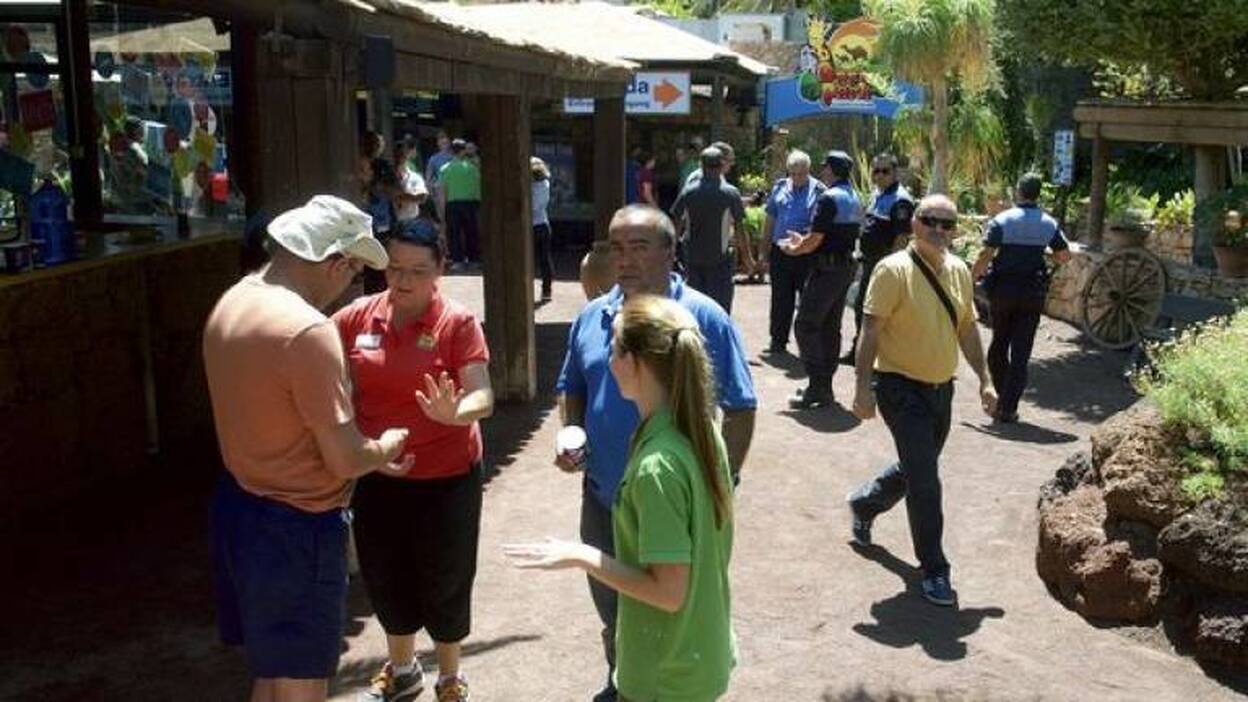 Tres monos se escapan del zoológico de La Lajita hiriendo a varias personas
