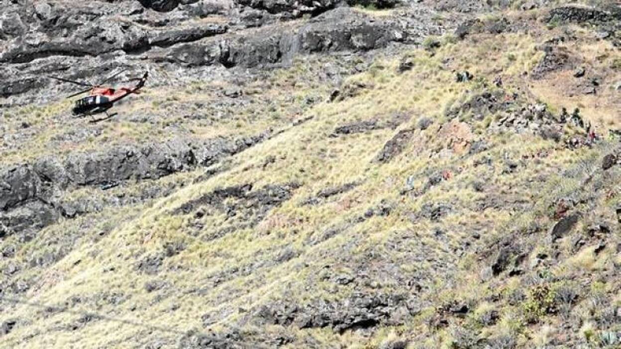 Una Rama con regusto amargo