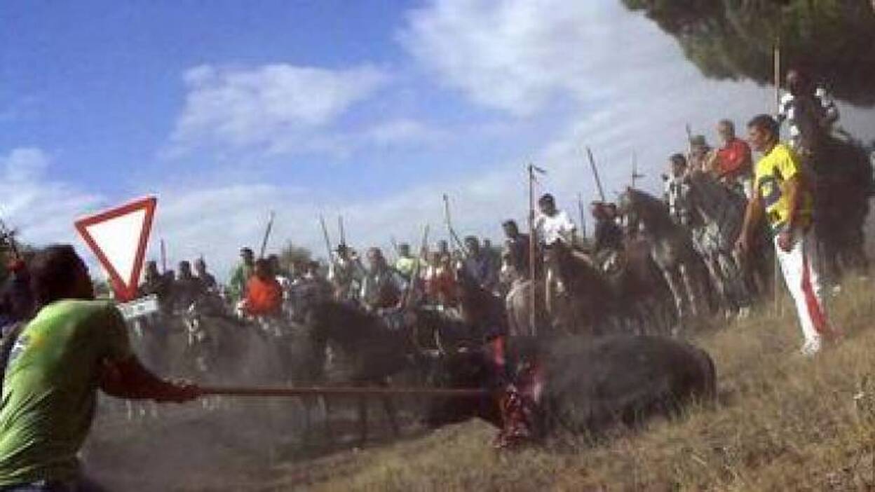 Culmina el torneo del Toro de la Vega con la muerte de Rompesuelas
