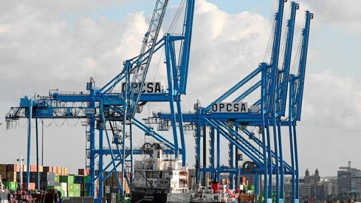 MSC inicia la reforma de OPCSA para atender a megabuques