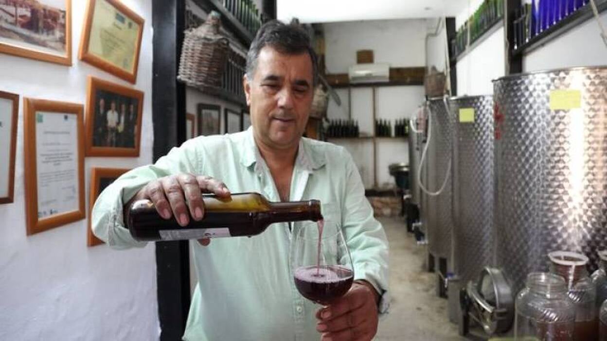 Bodega a la sombra del Gayría