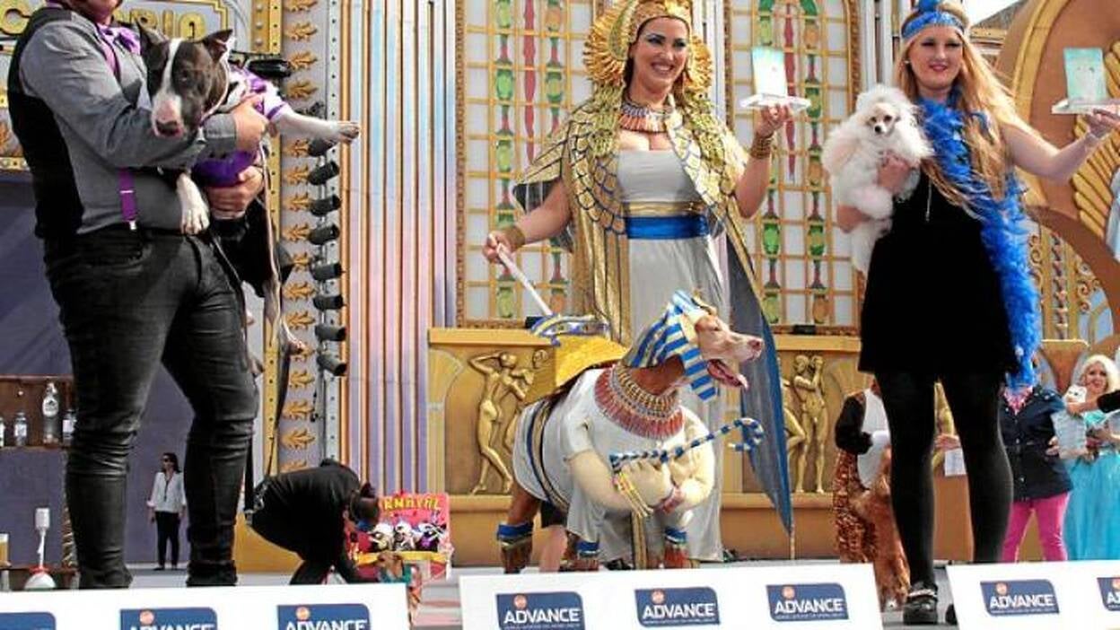 'Ashe' acumula pedigrí carnavalero