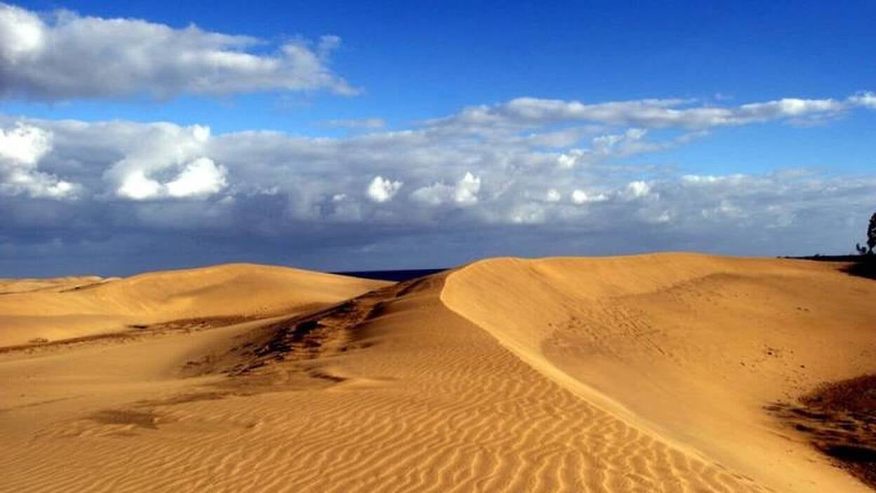 Pepe Dámaso propone hacer un mirador para contemplar las Dunas de Maspalomas