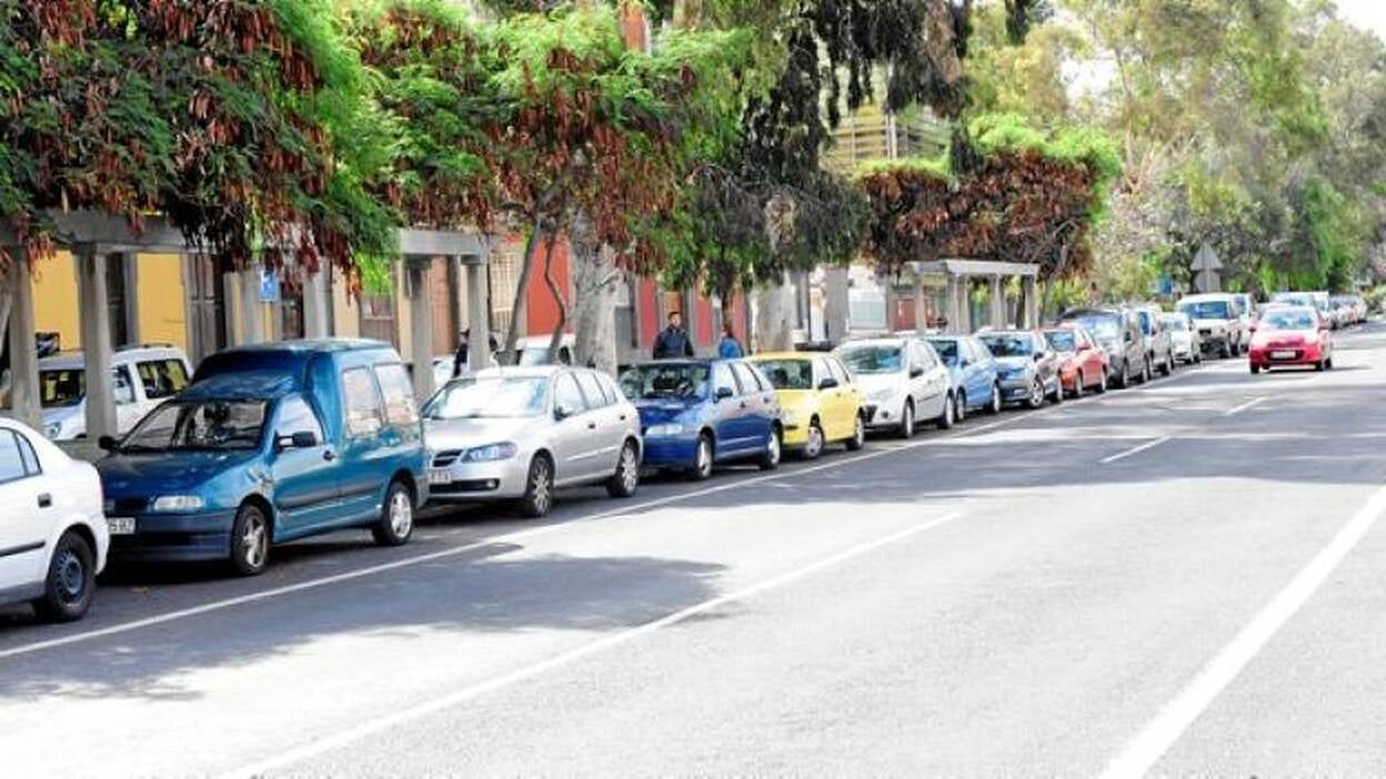 Una arboleda rematará el bulevar del Guiniguada