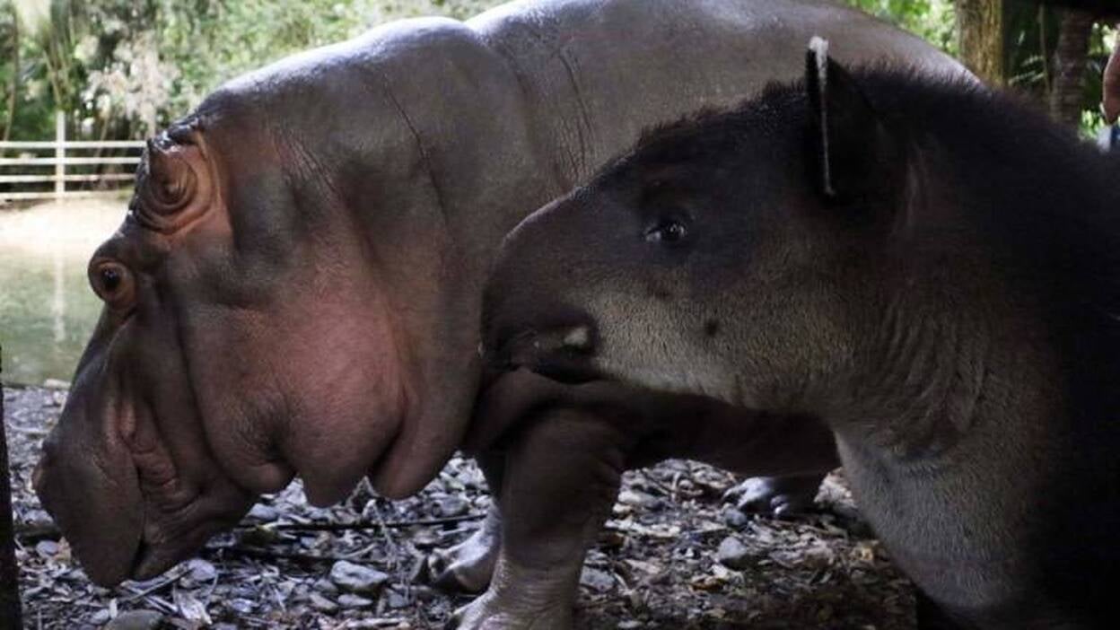 Juancho y Paquita un ejemplo de amor