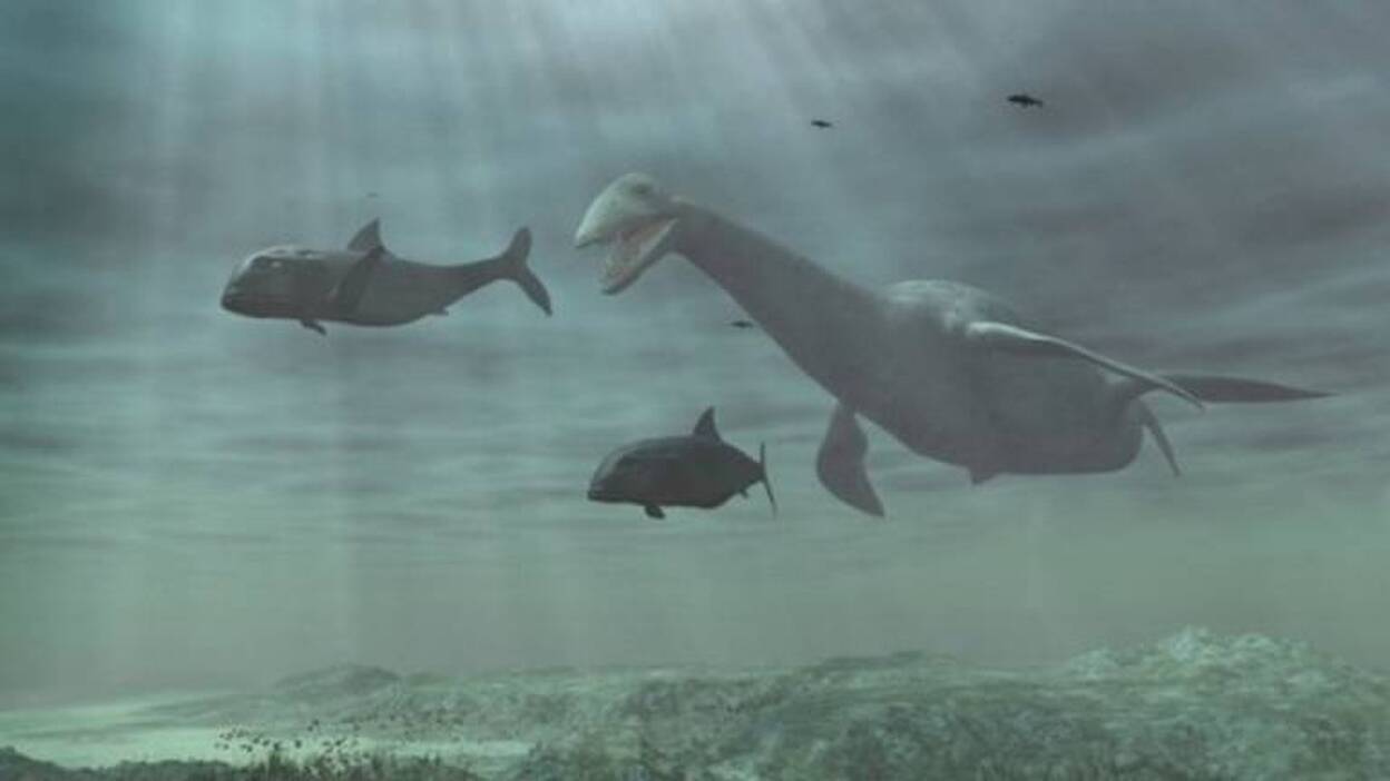 Un 'goteo de comida' salvó a criaturas marinas de una gran extinción