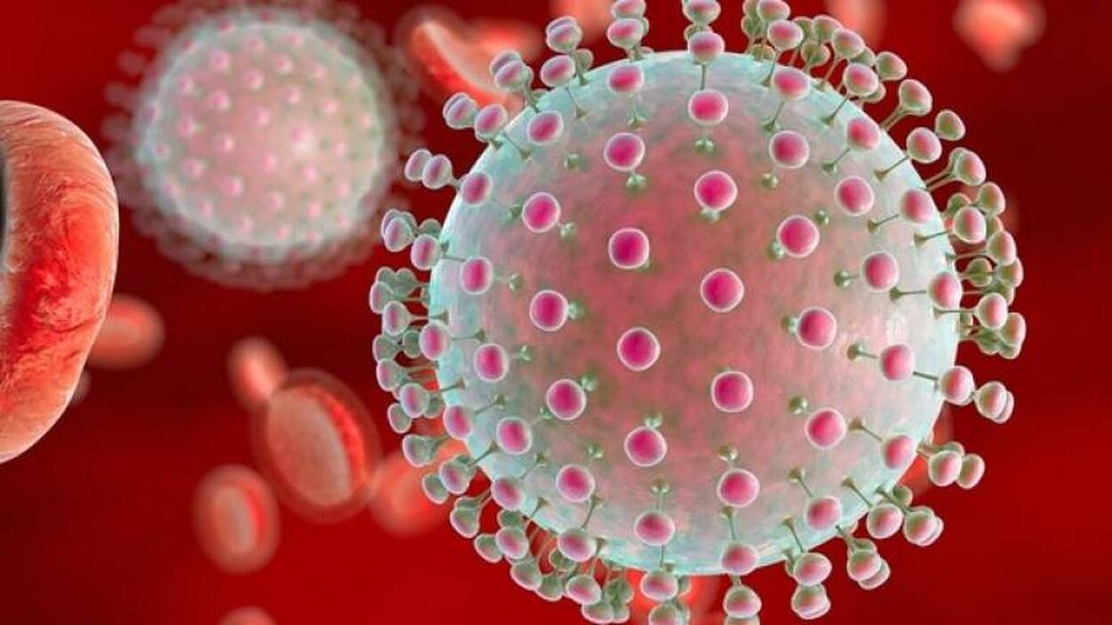 Una nueva mujer embarazada diagnosticada de Zika en Cataluña