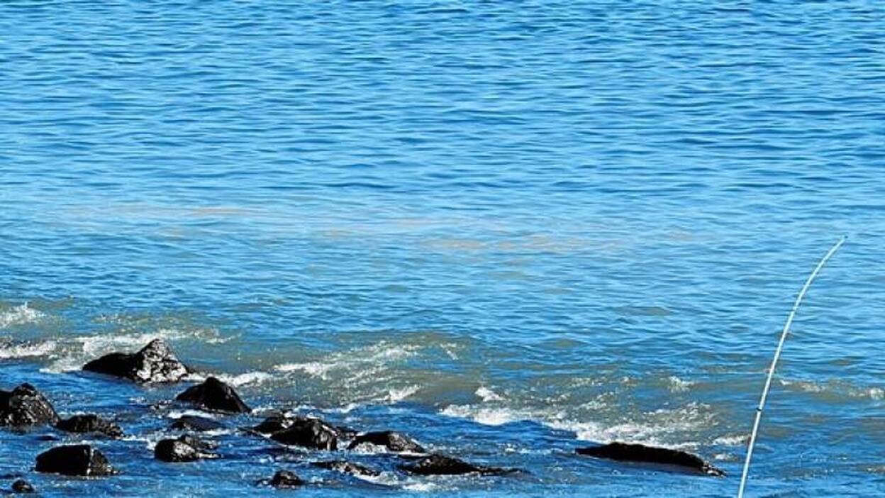 378 vertidos al mar ilegales, 60 multas