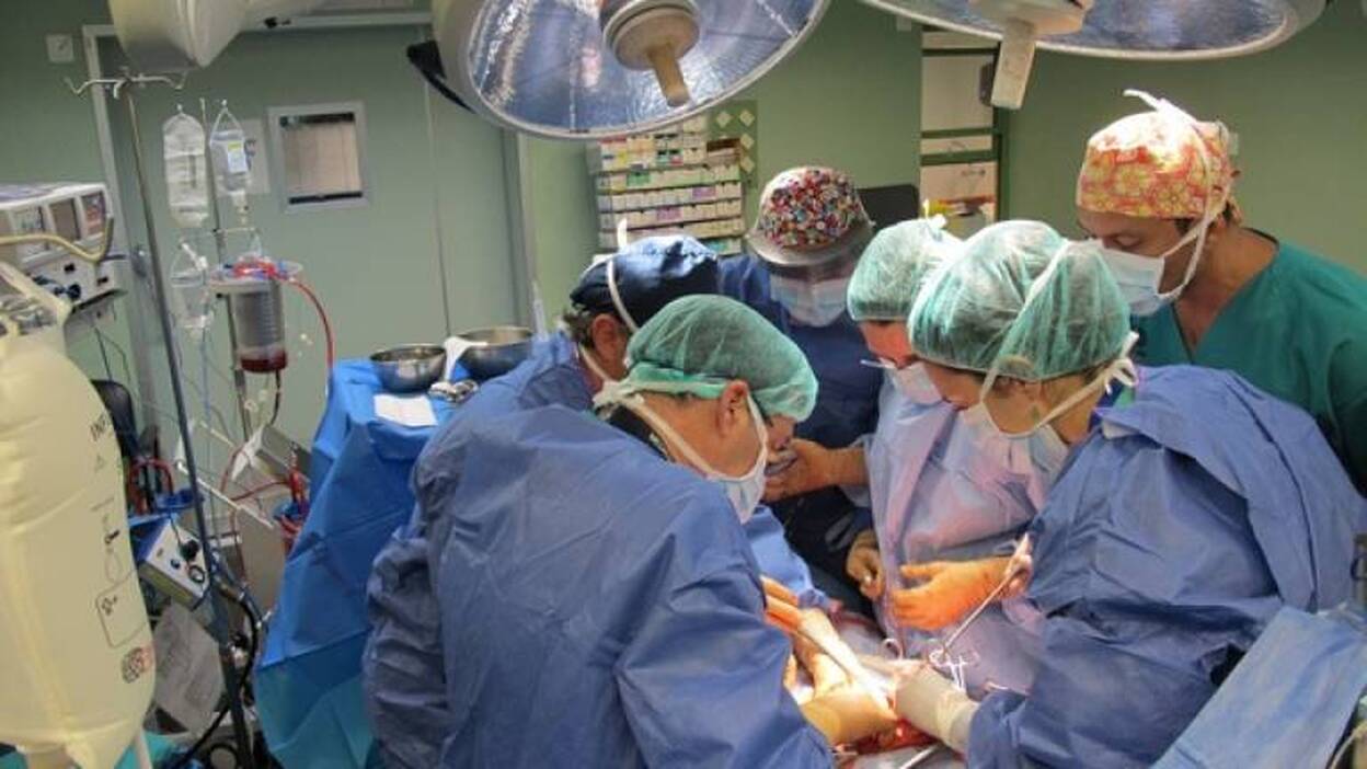 Canarias ha realizado hasta mayo 69 trasplantes gracias a 44 donantes