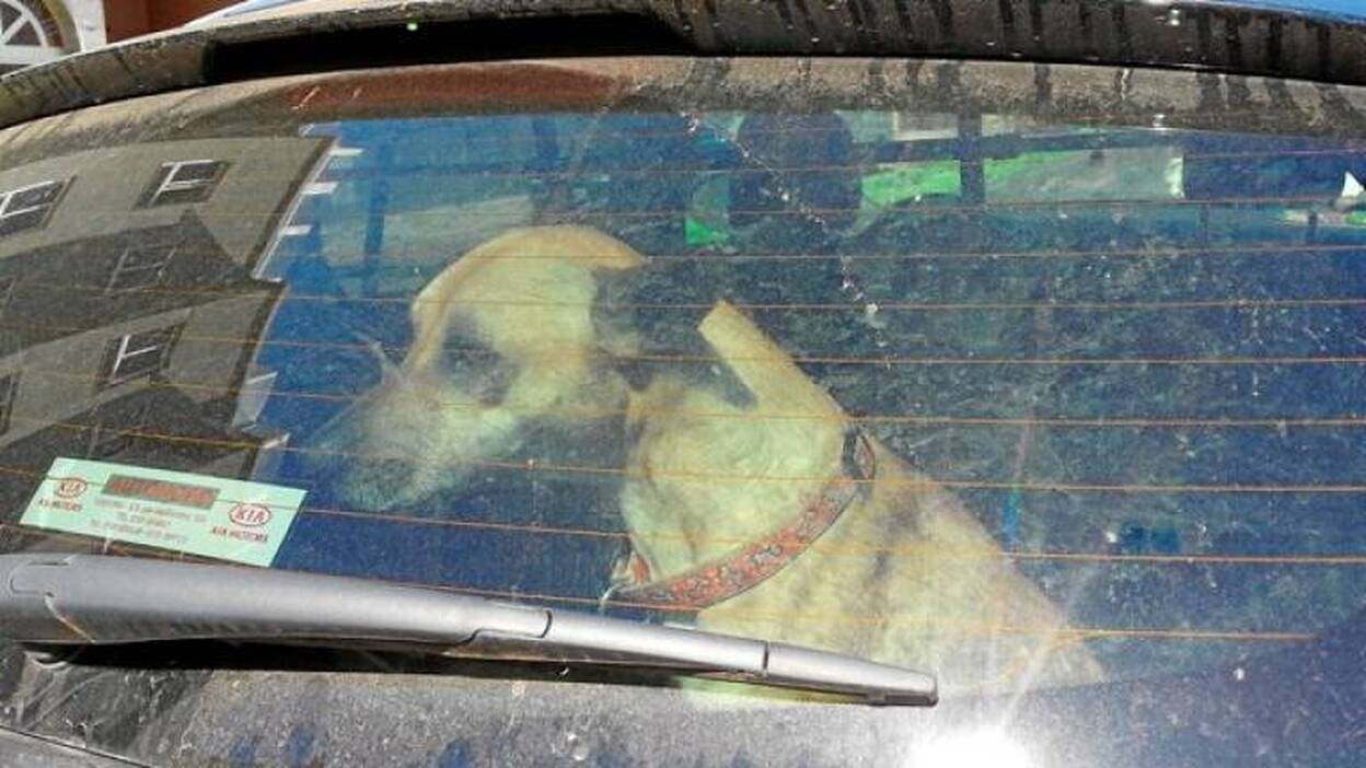 Un encierro de horas no penado