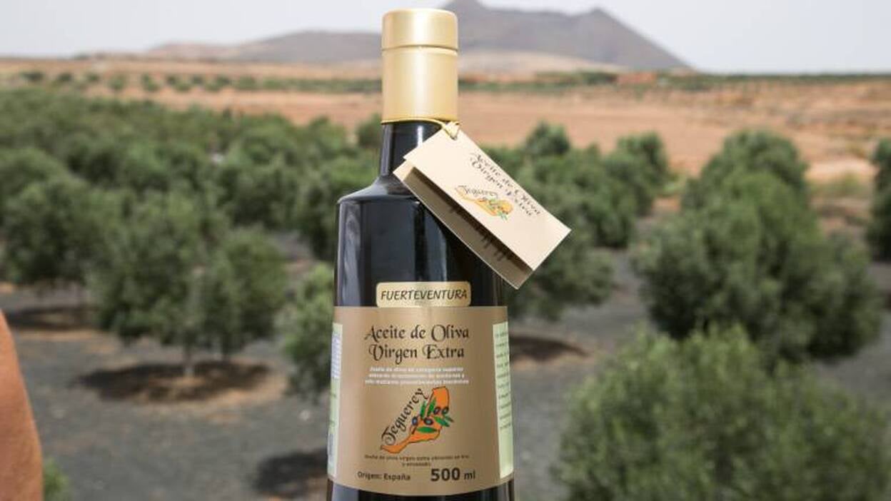 Luis Hernández elabora el mejor aceite de Canarias en Teguerey