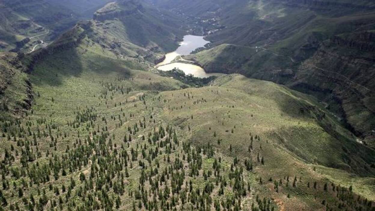 Gran Canaria contra el cambio climático