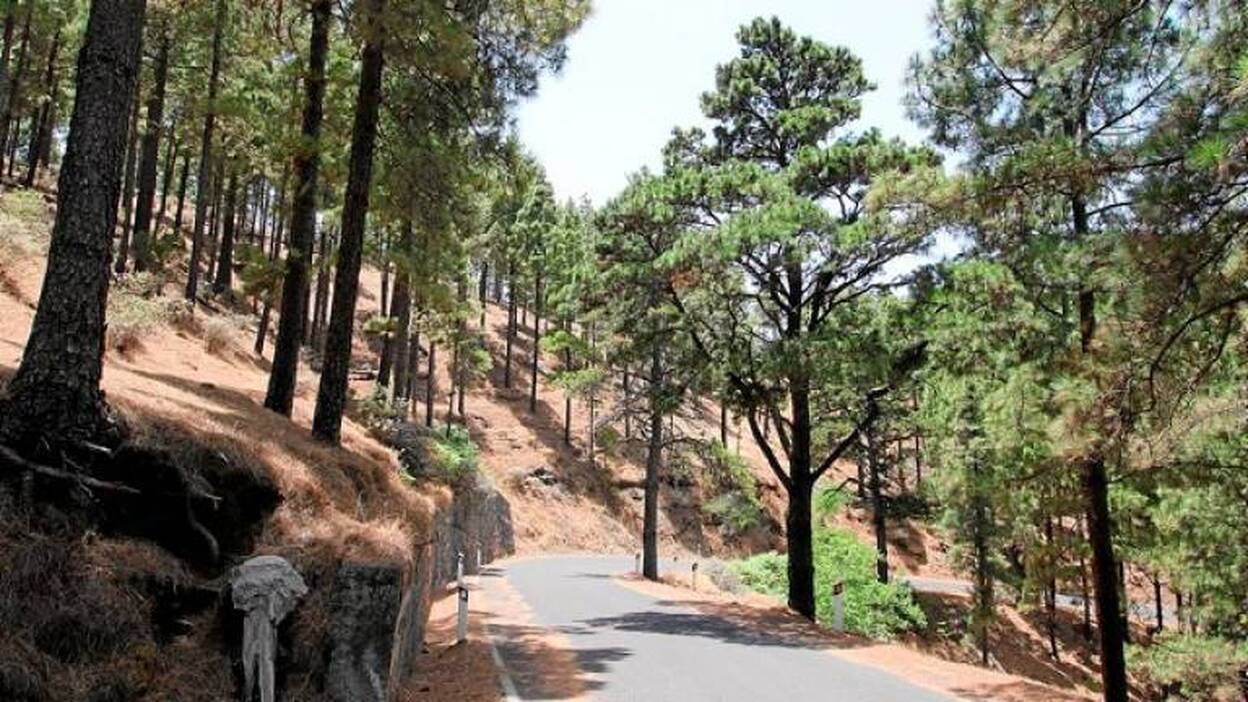 El calor atrae al fuego