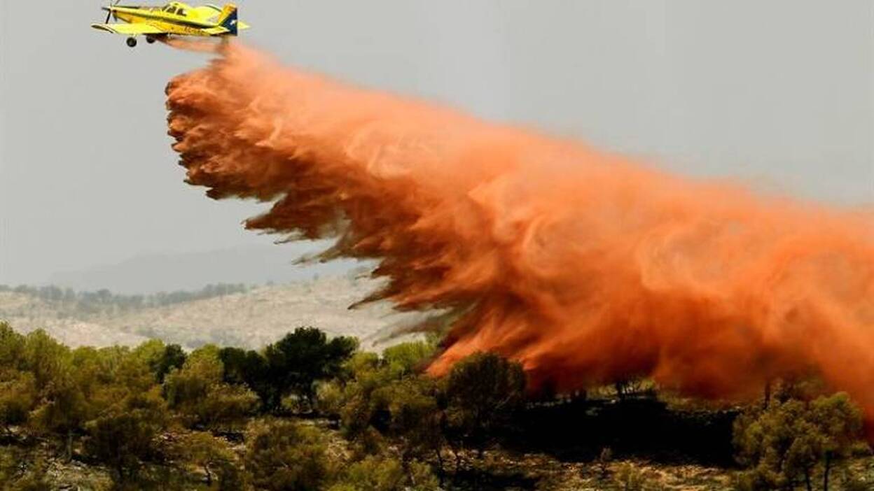 Cada nuevo euro para combatir los incendios forestales debe ir a prevención y no a extinción