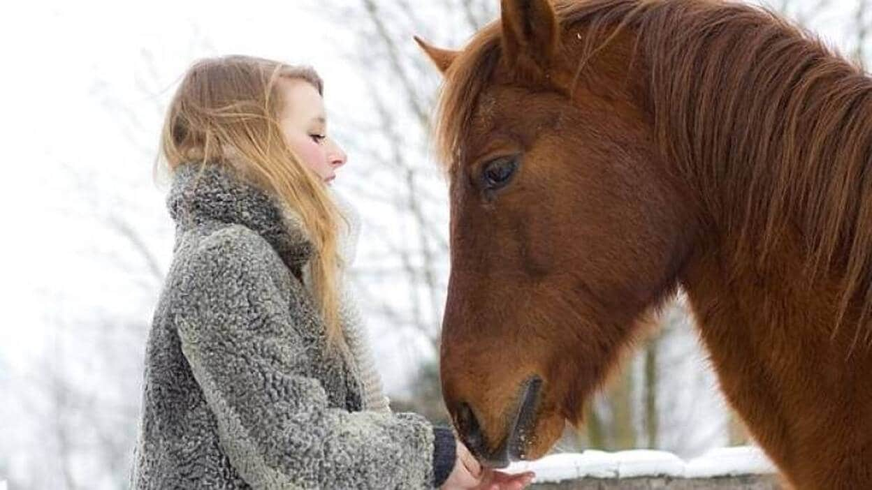 Los caballos aprenden a usar símbolos para transmitir sus deseos