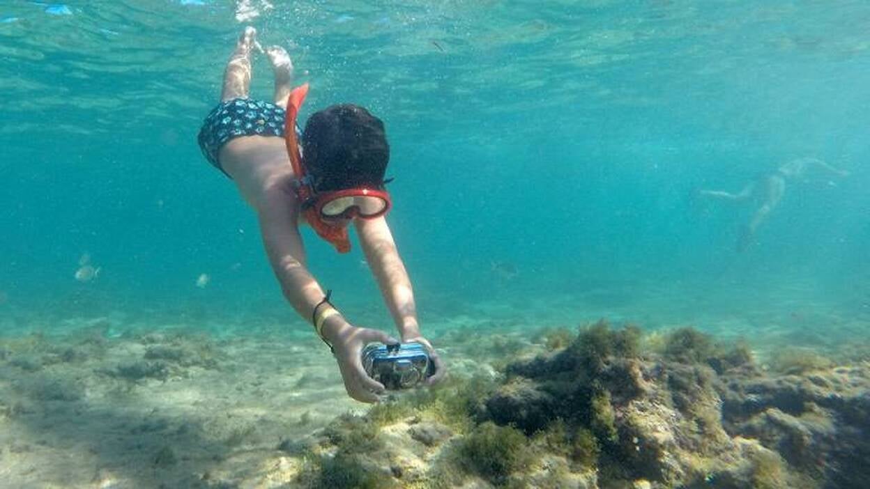 Fotosub 2016 dice adiós a Las Canteras