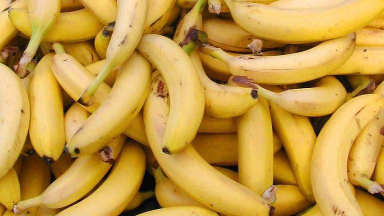 Una investigación analizará los beneficios del plátano contra cáncer de colon