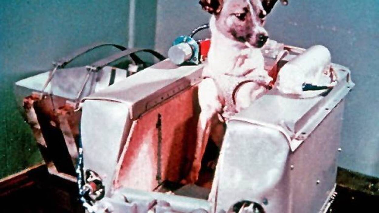 Se cumplen 59 años del viaje espacial de la perra Laika