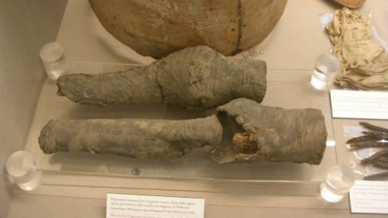 Las piernas de Nefertari aparecen en un museo italiano