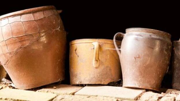 En el Neolítico ya se cocinaban plantas en vasijas de barro