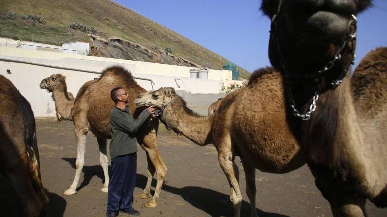 El mejor amigo de los Reyes