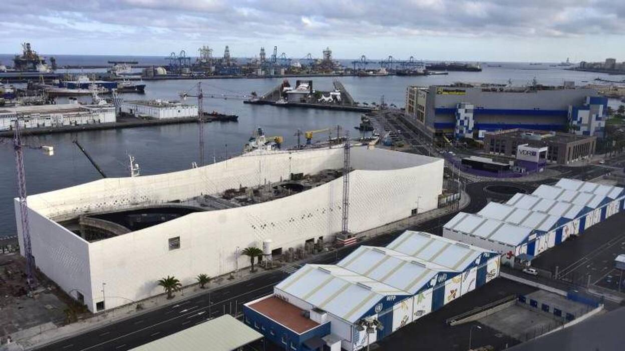 2017, el año del acuario