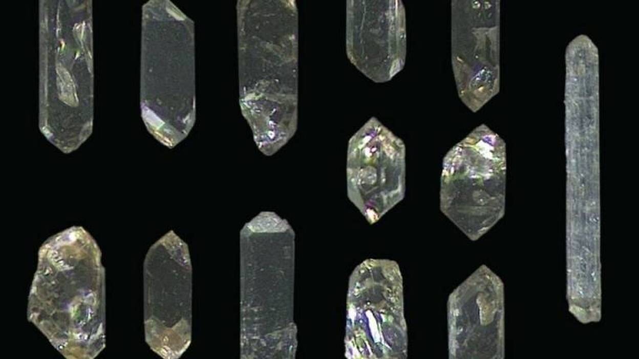 Un choque de asteroides no influyó en el aumento de biodiversidad