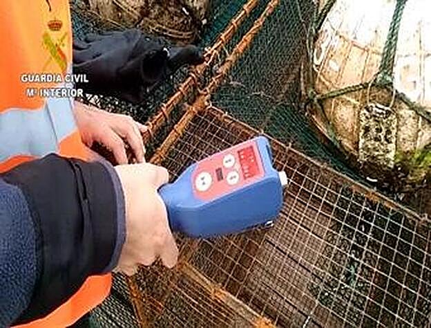 La Guardia Civil interviene 16 nasas ilegales