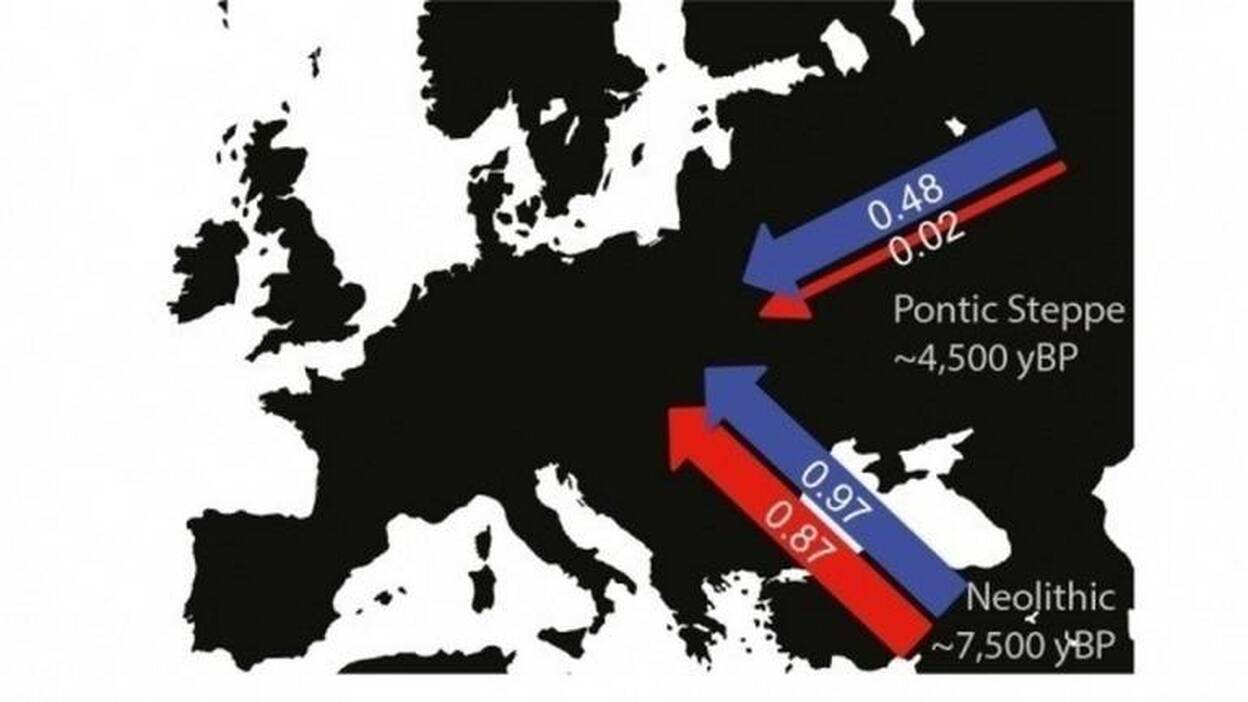 Hombres de la estepa cambiaron la ascendencia europea hace 5.000 años