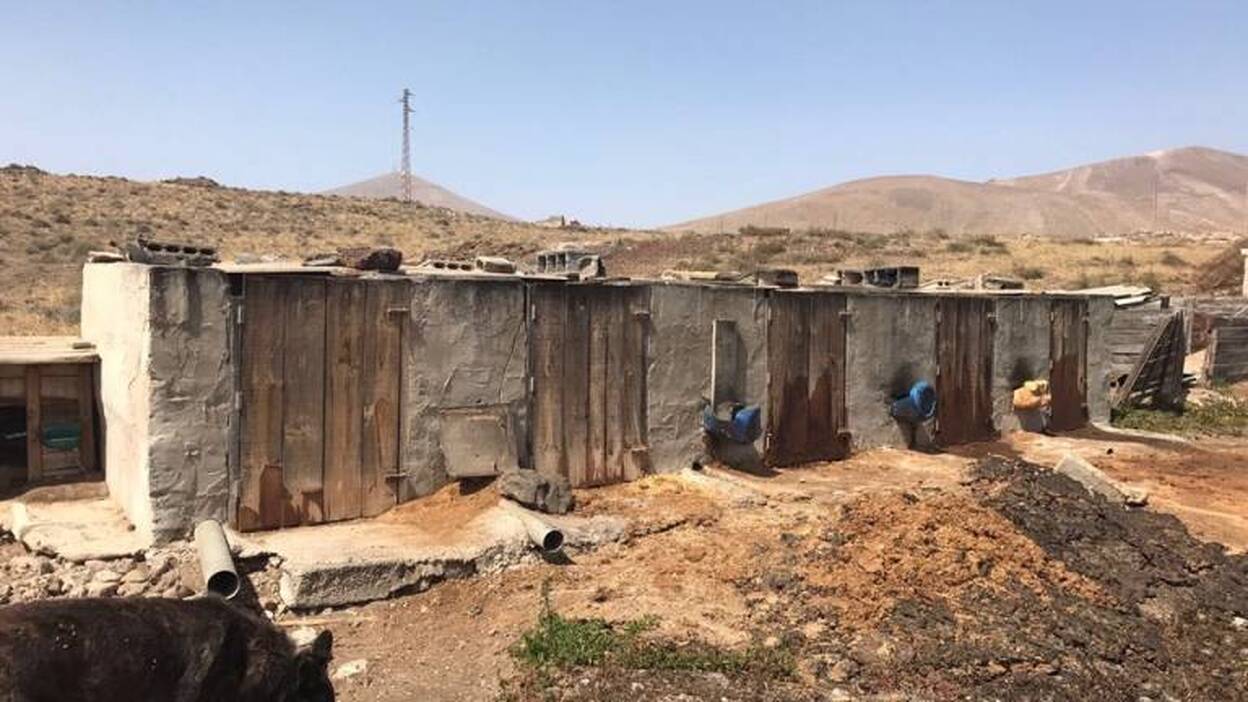 Desmantelan una granja ilegal con animales en estado de desnutrición