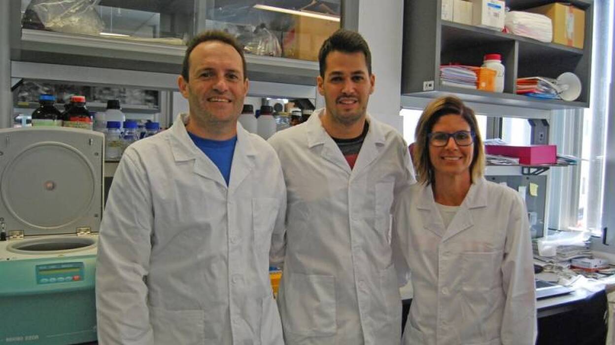 Investigadores del HUC descubren una conexión entre enzimas y una proteína de cáncer mama