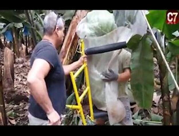 El 'horcon boy' suelta lastre