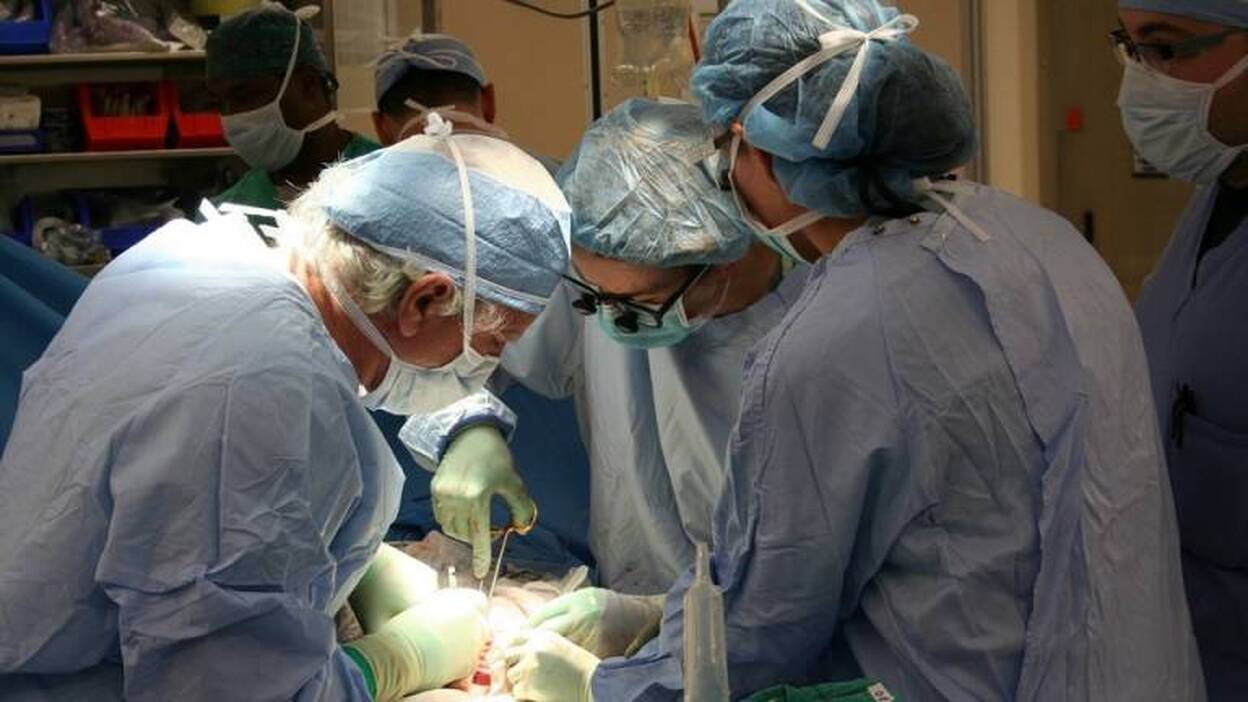 Los hospitales públicos realizaron 8.400 trasplantes en Canarias desde 1982