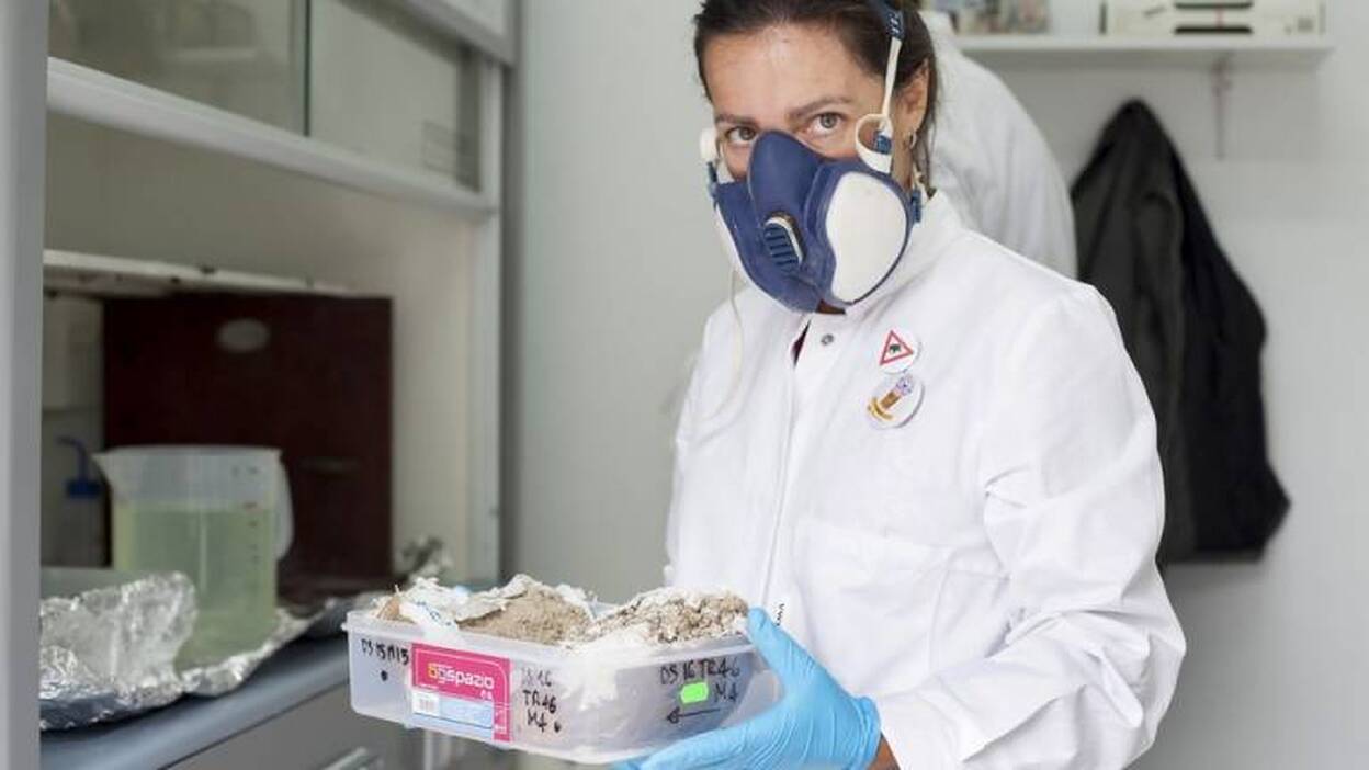 ¿Quiénes eran los neandertales y qué causó su desaparición?