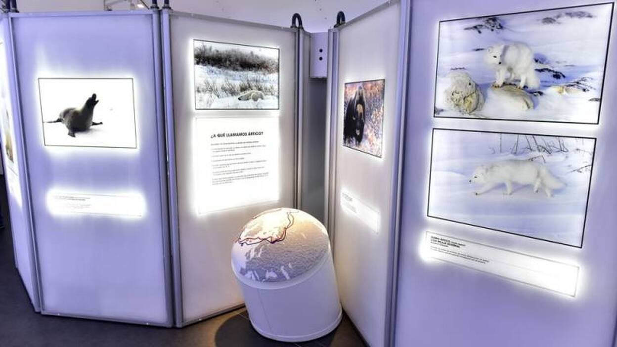 Canarias muestra la pérdida de hielo en el Ártico