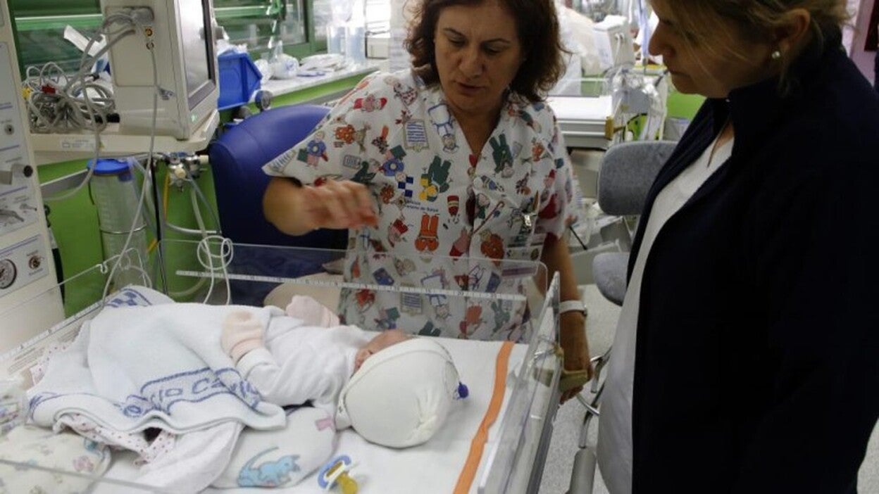 Menos partos y más bebés, crecen los gemelos