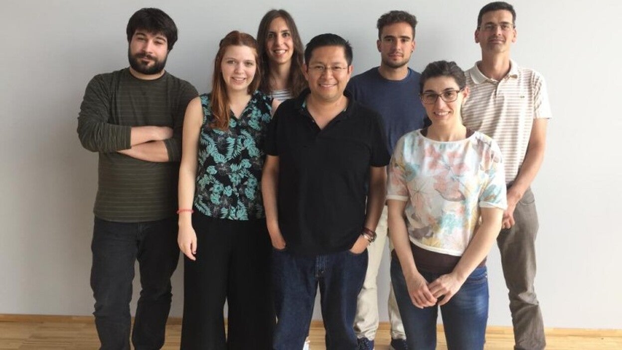 Descubren dos proteínas capaces de regular la grasa que almacena el hígado