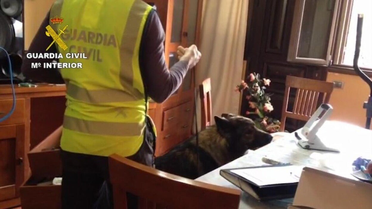 Los cabecillas del catastro, condenados en otras estafas