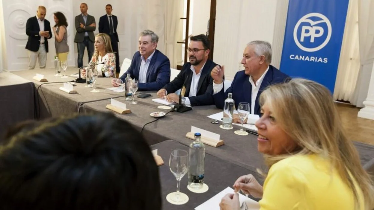 Los ocho senadores del PP canario constituyen un grupo territorial