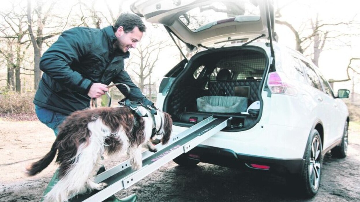 Nissan piensa en los propietarios con perro: X-Trail 4Dogs