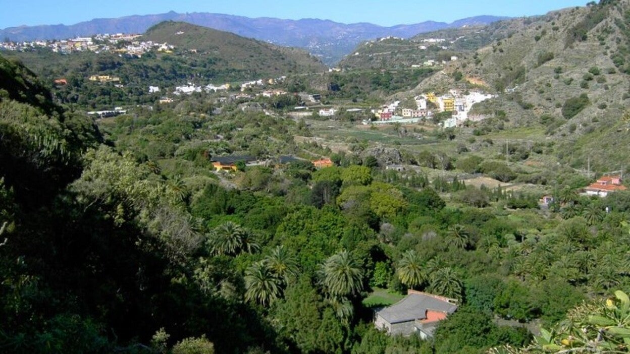 7ª edición de la semana de la Diversidad Biológica en el Jardín Canario