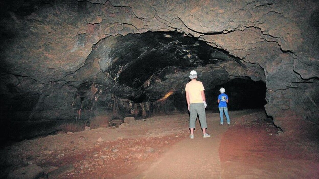 Demandan presupuesto para recuperar el ‘opilión Maiorerus’