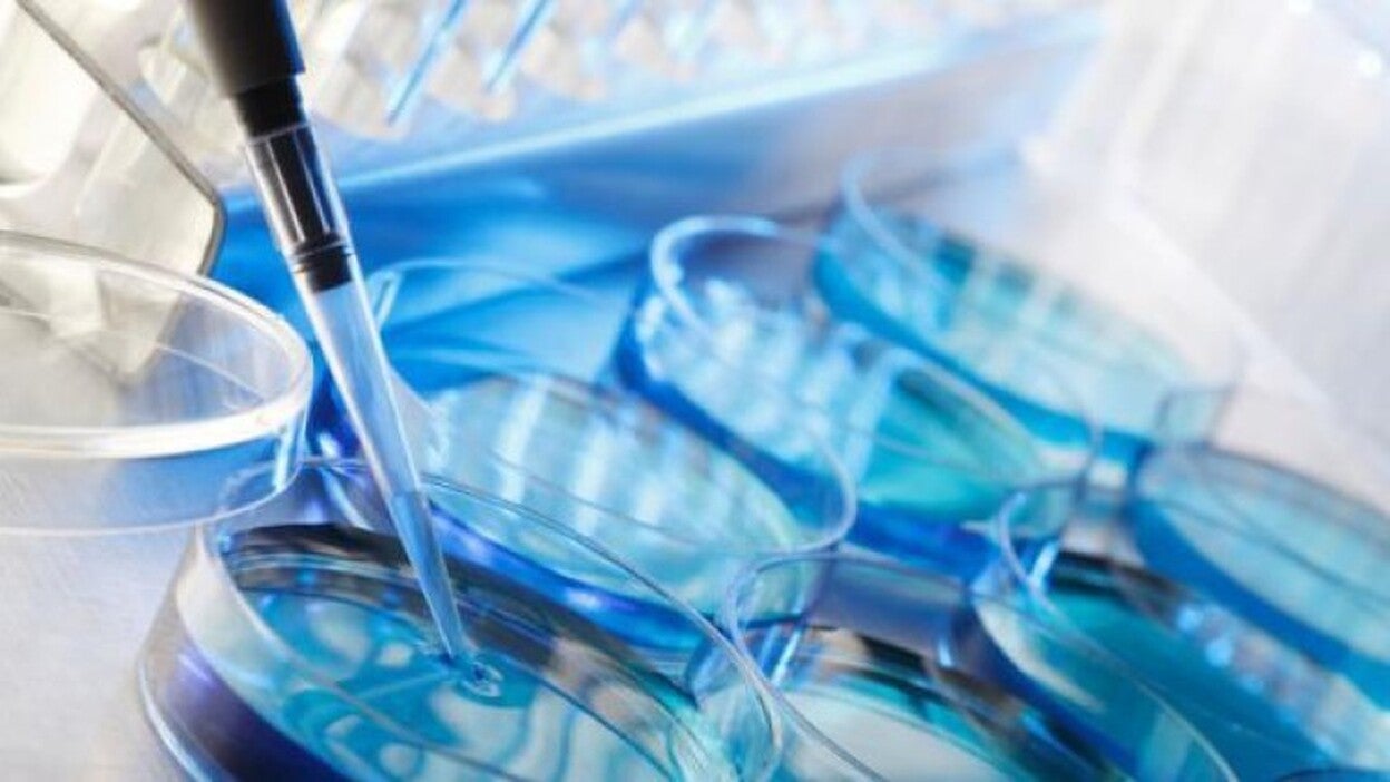 Crece la congelación de óvulos en España