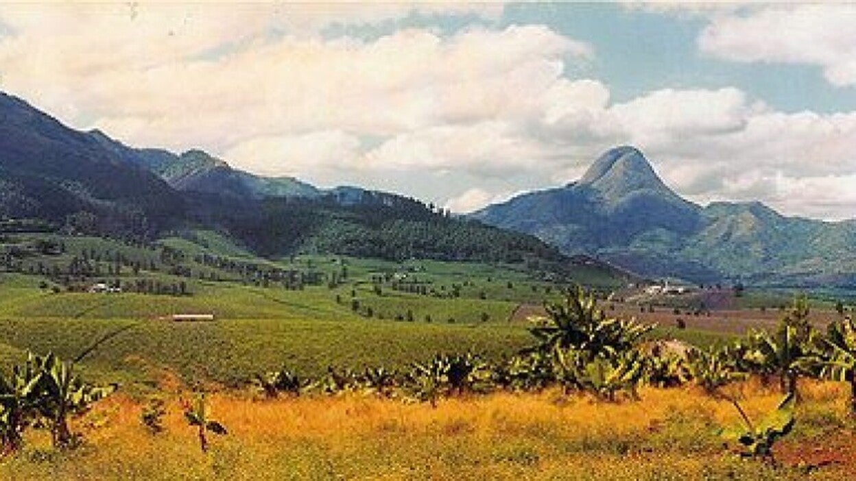 Asesinan a cinco calvos en Mozambique para usar sus órganos en rituales