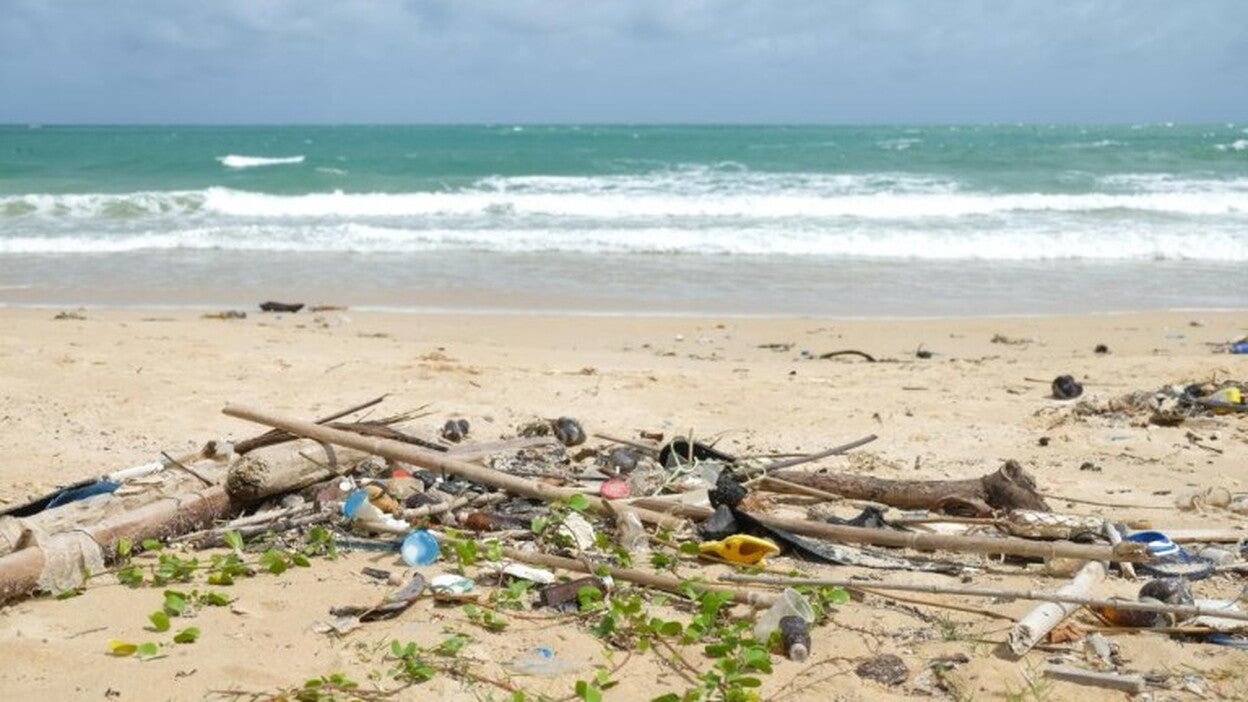 La lucha por un entorno limpio empieza en ti