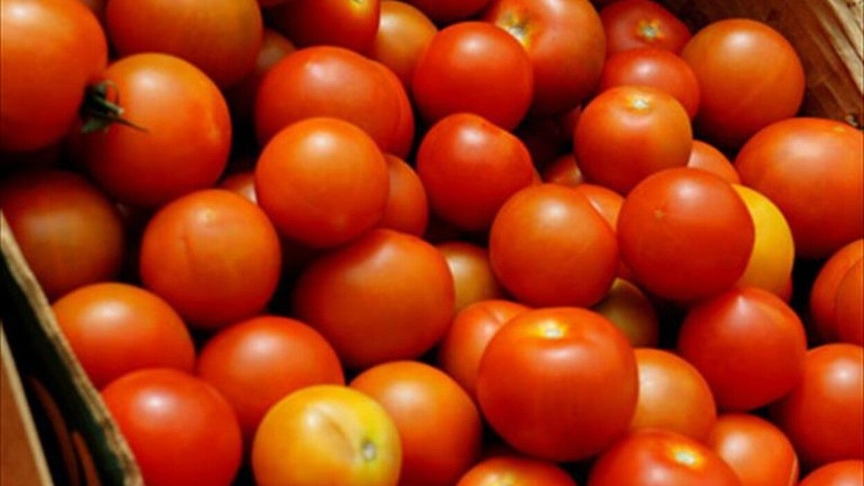 La subvención del tomate en Canarias sube