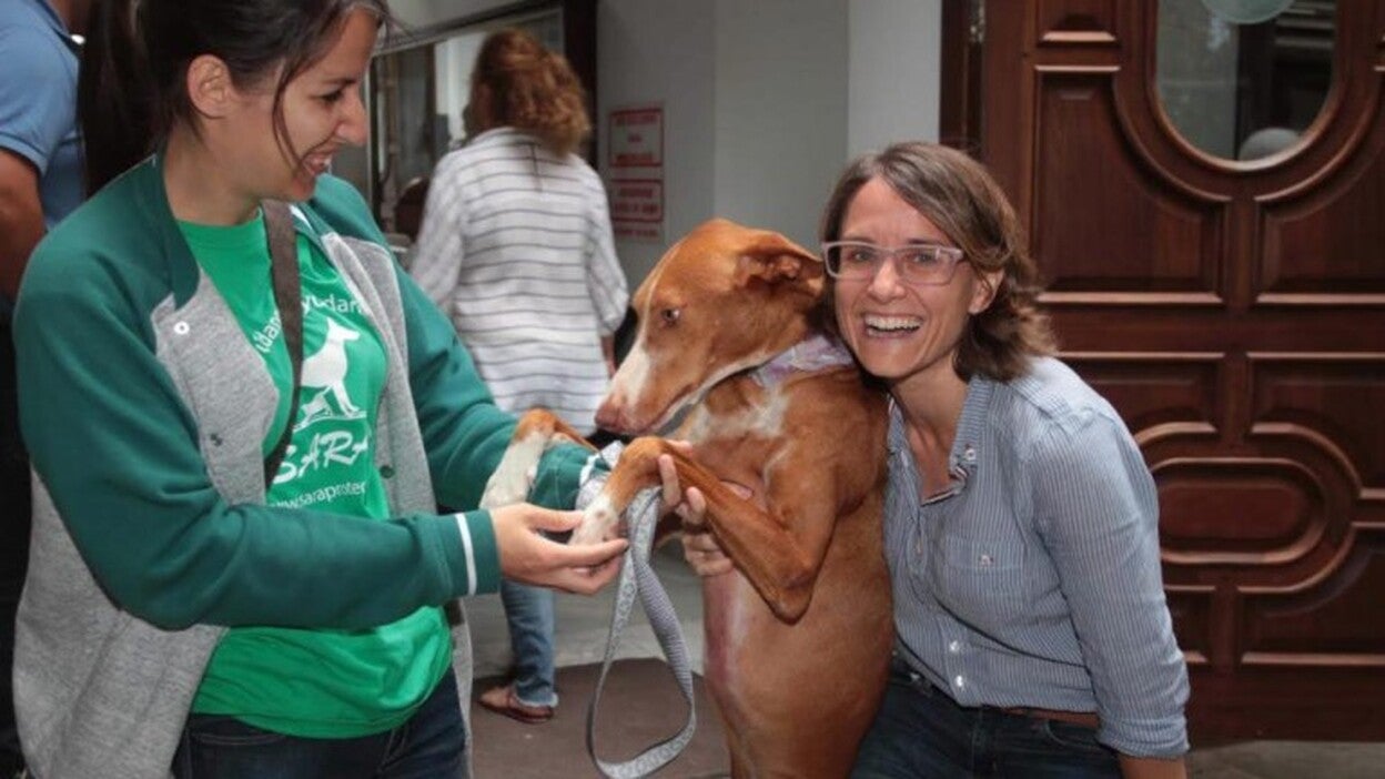 Un taller para tener mascotas sin miedo