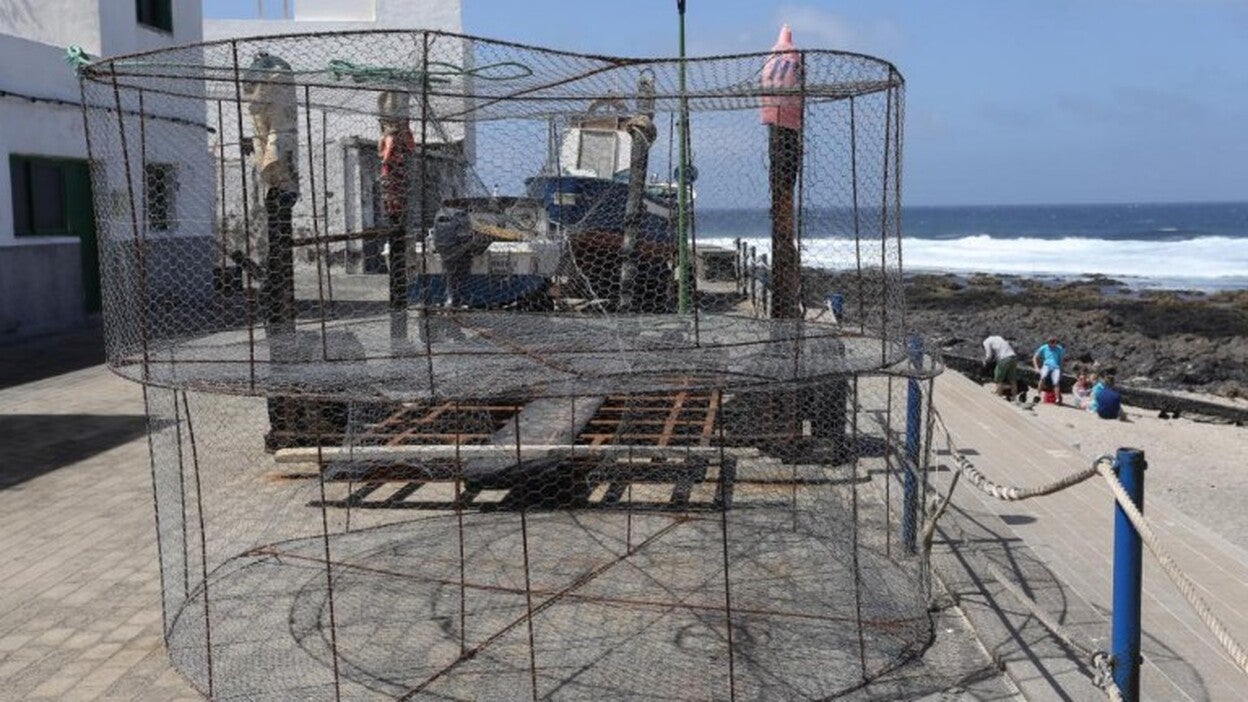 Las instituciones ponen mano dura en la inspección pesquera insular